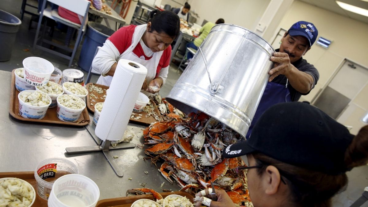 Who Is Affected by Trump's New Rules on Work Visas?