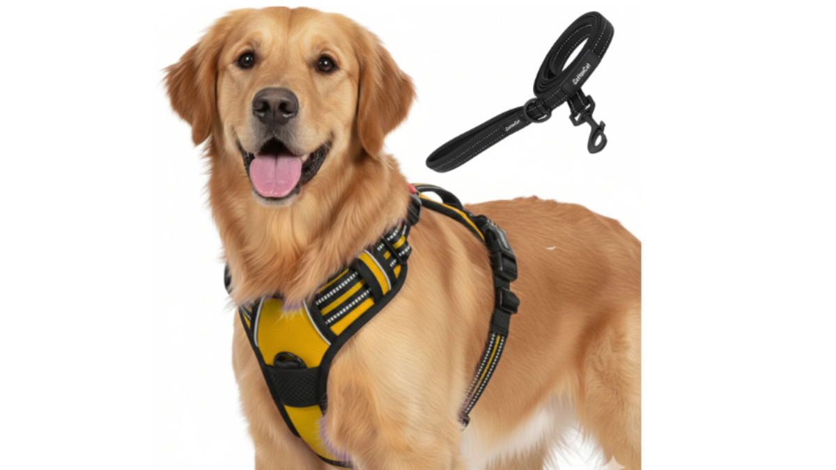 Dog Harnesses For Safe Walking: Pocket-Friendly and Durable