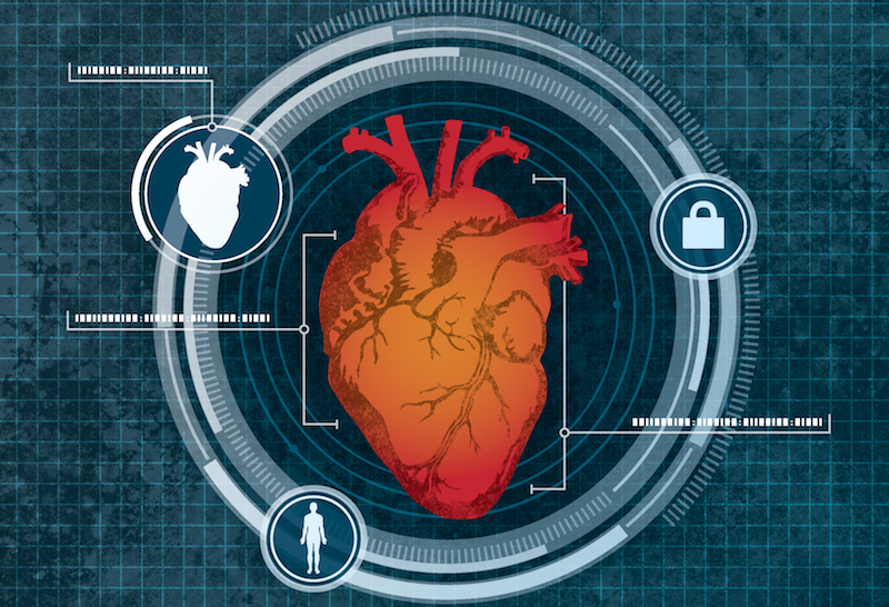 Your Heart Size Can Be Used as a Password, Researchers Claim