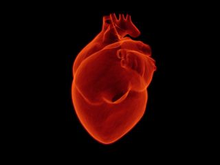 New Technology Can Repair Heart Muscles After an Attack, Say Researchers