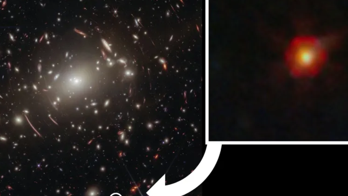 JWST Reveals the True Identity of Mysterious Little Red Dots