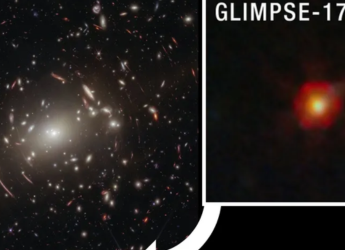 JWST Reveals the True Identity of Mysterious Little Red Dots