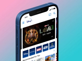 Disney-Reliance Joint Venture Said to Stream Live Sports Only on Disney+ Hotstar