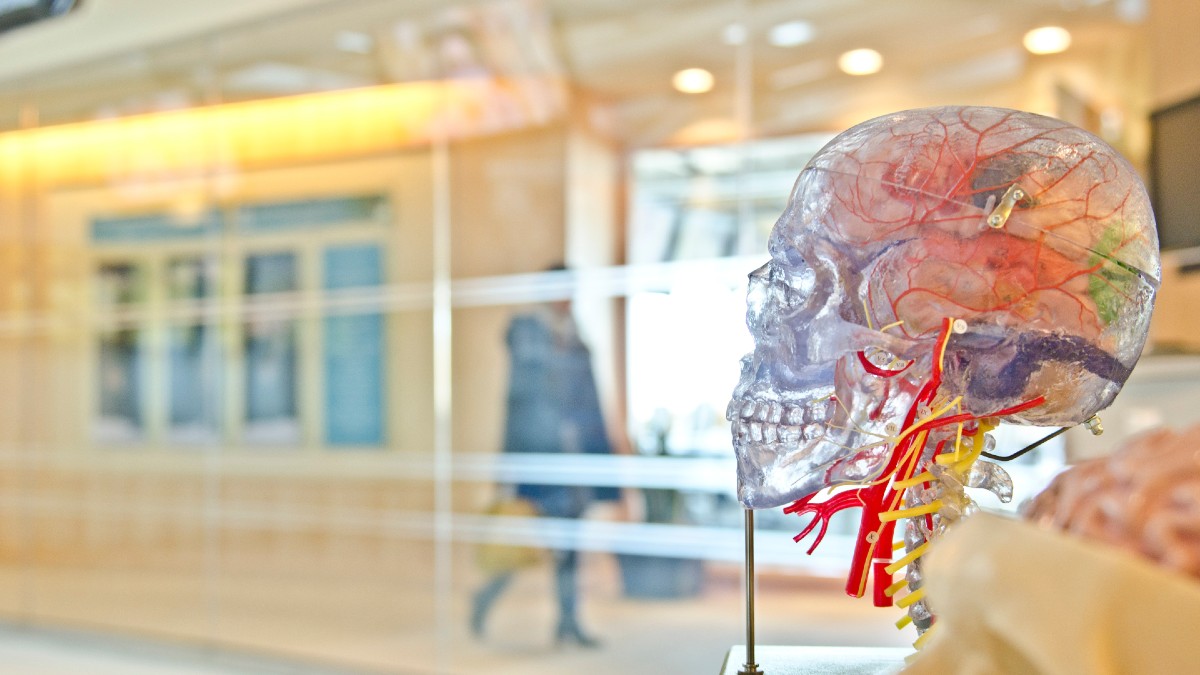 AI Algorithm That Recognises Anomalies in Brain May Help Treat Epilepsy