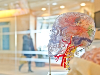 AI Algorithm That Recognises Anomalies in Brain May Help Treat Epilepsy