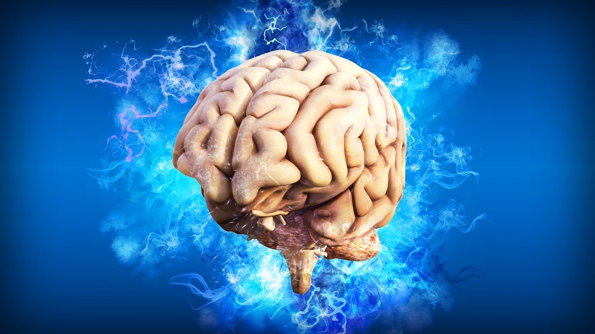 MIT Researchers Believe Targeting Treatments to This Brain Circuit May Reverse Memory Decline