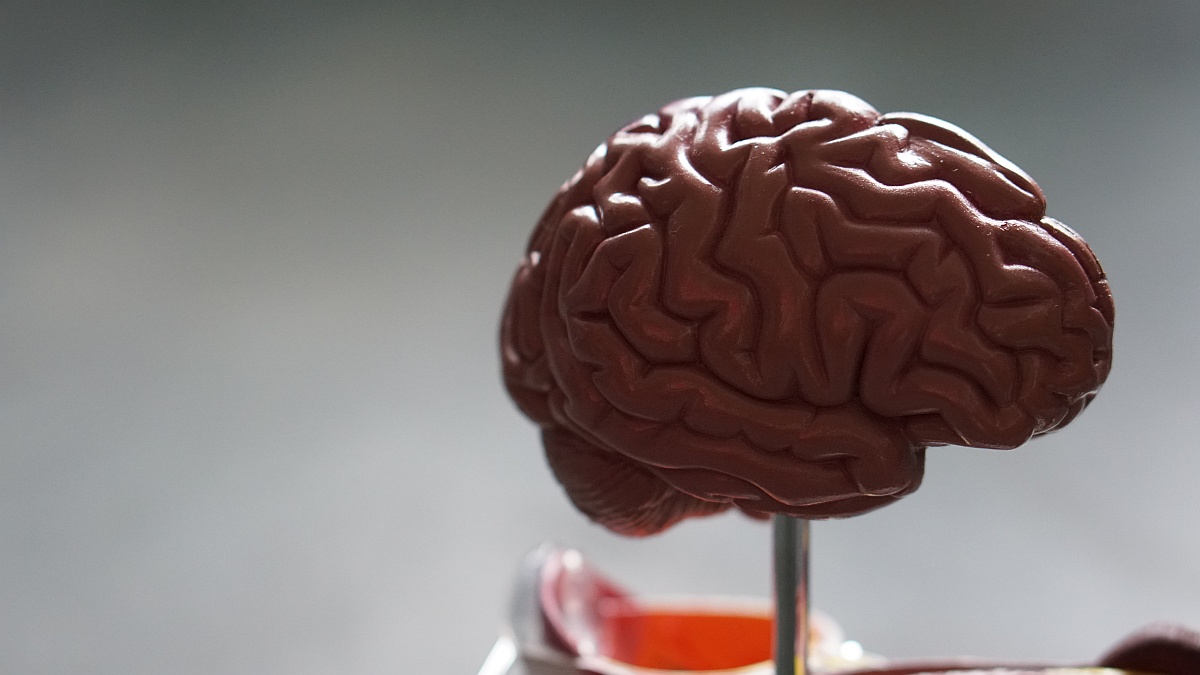 A Single Brain Scan Could Be Enough to Detect Alzheimer&rsquo;s Disease, Suggests New Research