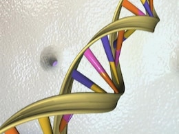 First Complete Human Genome Sequence Published, Filling In Gaps of Previous Efforts First Complete Human Genome Sequence Published, Filling In Gaps of Previous Efforts