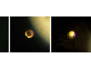 Scientists Create Metallic Hydrogen, a Possible Superconductor, Ending Quest