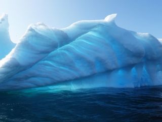 Greenland&#039;s Fossils Reveal an Ice-Free Tundra Less Than a Million Years Ago: Report