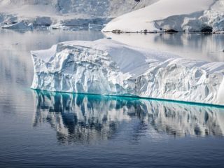 World&rsquo;s Largest Iceberg A23a Grounds Near South Georgia, Raising Wildlife and Environmental Concerns