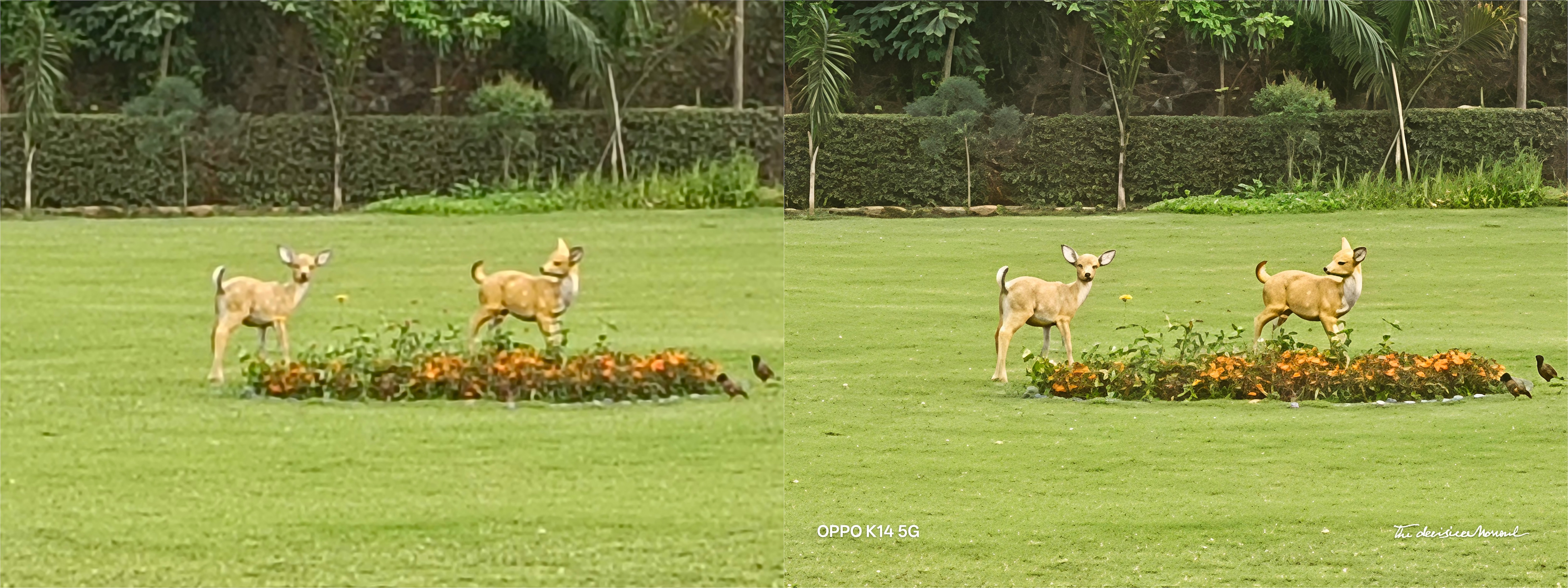 image 5 ai