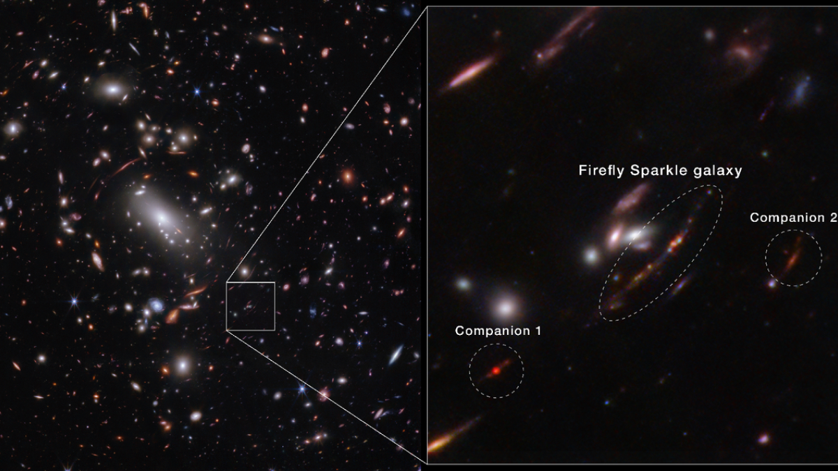 NASA&rsquo;s Webb Telescope Reveals Firefly Sparkle, a Milky Way-Like Galaxy