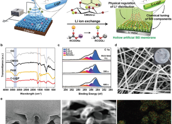 KAIST Researchers Increase Lithium Metal Battery Lifespan by 750 Percent with Water-Based Solution