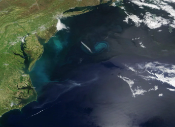 Study Warns Saltwater Intrusion Threatens Global Coastal Groundwater by 2100