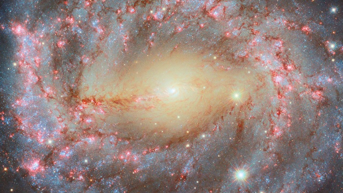 Hubble Captures NGC 5643&rsquo;s Spiral Arms, Star Formation, and Hidden Black Hole