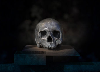 Ancient Human Remains Reveal Brutal 4,000-Year-Old Massacre in Somerset