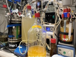 New Dual-Reactor Tech Turns CO2 Into Protein for Food and Sustainability New Dual-Reactor Tech Turns CO2 Into Protein for Food and Sustainability