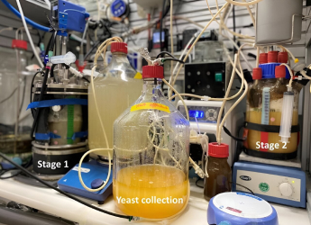 New Dual-Reactor Tech Turns CO2 Into Protein for Food and Sustainability
