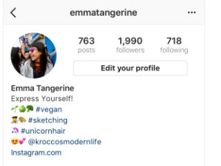 Instagram Users Can Now Add Hashtag, Profile Links in Bios