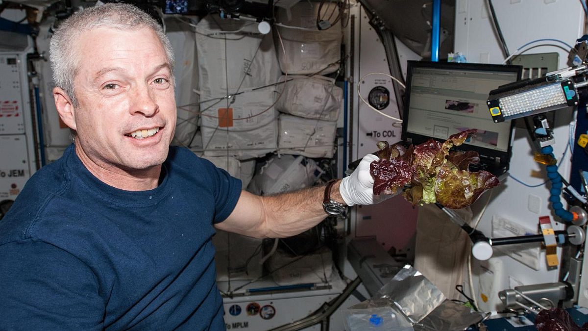 ISS Astronauts Grow Earth-Like Fresh Lettuce in Space