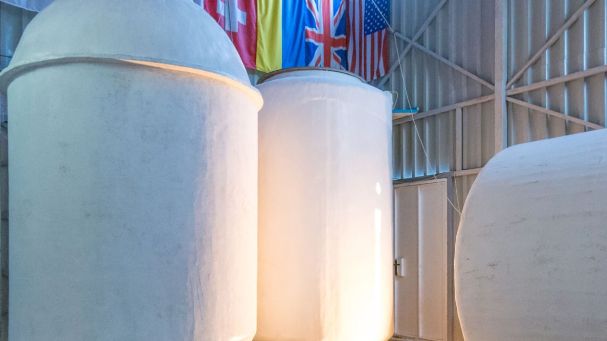 Brain Freeze: Russian Firm Offers Path to Immortality for a Fee