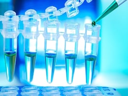 India Reports First Case of Highly-Transmissible Mpox Clade 1b Variant in Kerala India Reports First Case of Highly-Transmissible Mpox Clade 1b Variant in Kerala