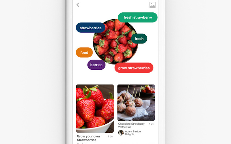 Pinterest Lens Unveiled, Lets You Identify Objects to Buy Them