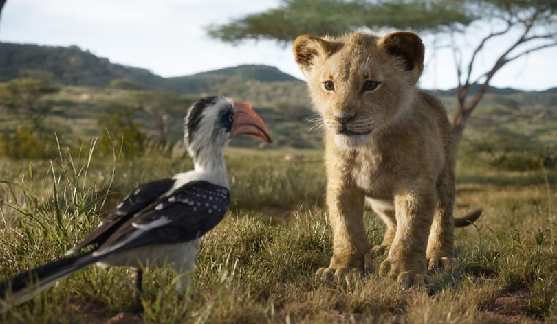 lion king 2019 zazu simba Lion King 2019 movie Zazu Simba