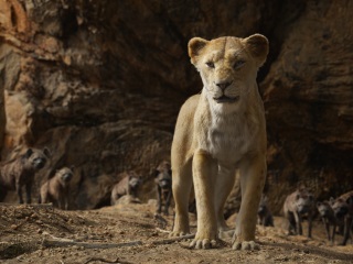 The Lion King Set to Cross Rs. 100 Crores at the Box Office in India