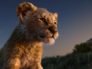 The Lion King Now One of the 10 Highest-Grossing Films of All Time, With $1.435 Billion at Worldwide Box Office