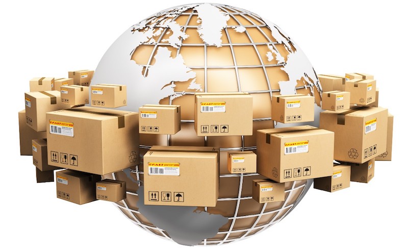 How a Bengaluru-Based Women's Safety Startup Became a Logistics Firm for Businesses