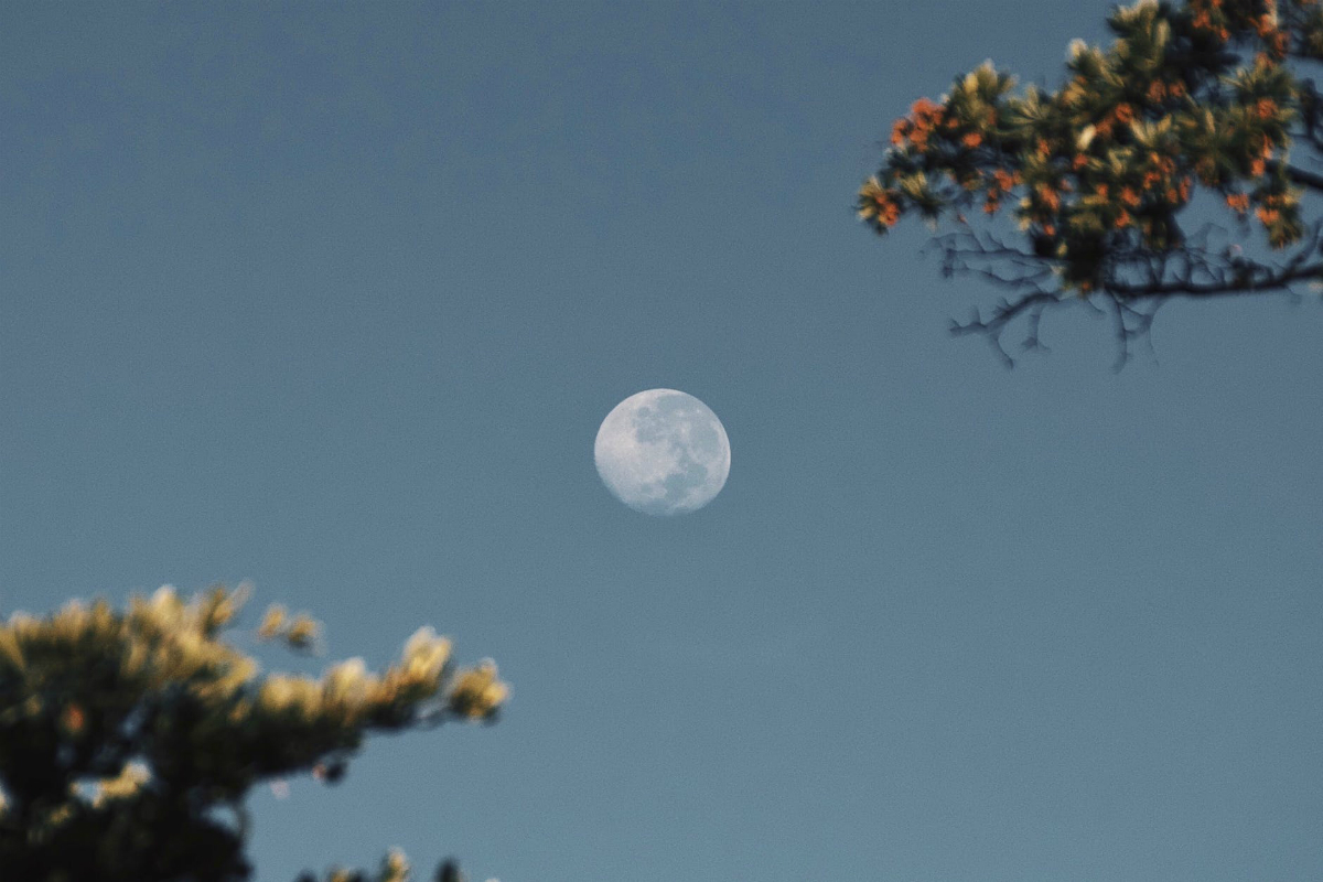 Lunar Eclipse June 2020: When Is Next Lunar Eclipse, India Timings, How to Watch Live