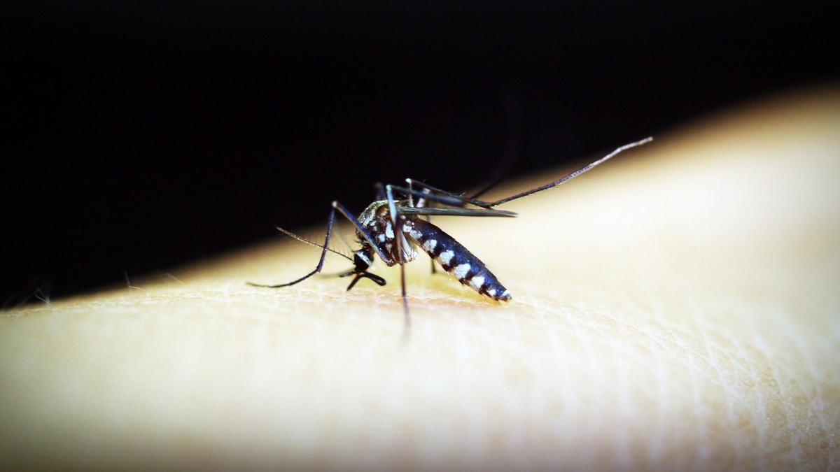 NASA Pioneers Malaria-Predicting Tech in Myanmar