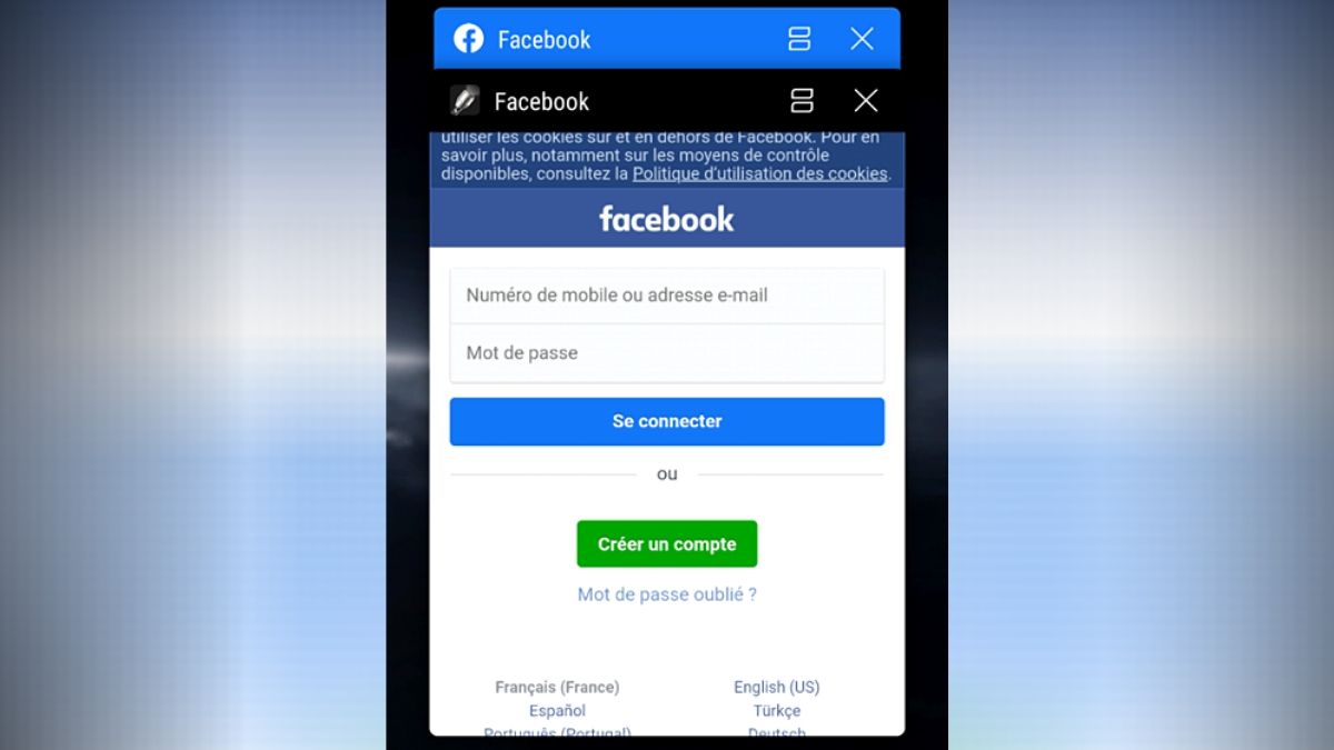 Google Play Removes 25 Apps Caught Stealing Facebook Credentials From Users: Evina