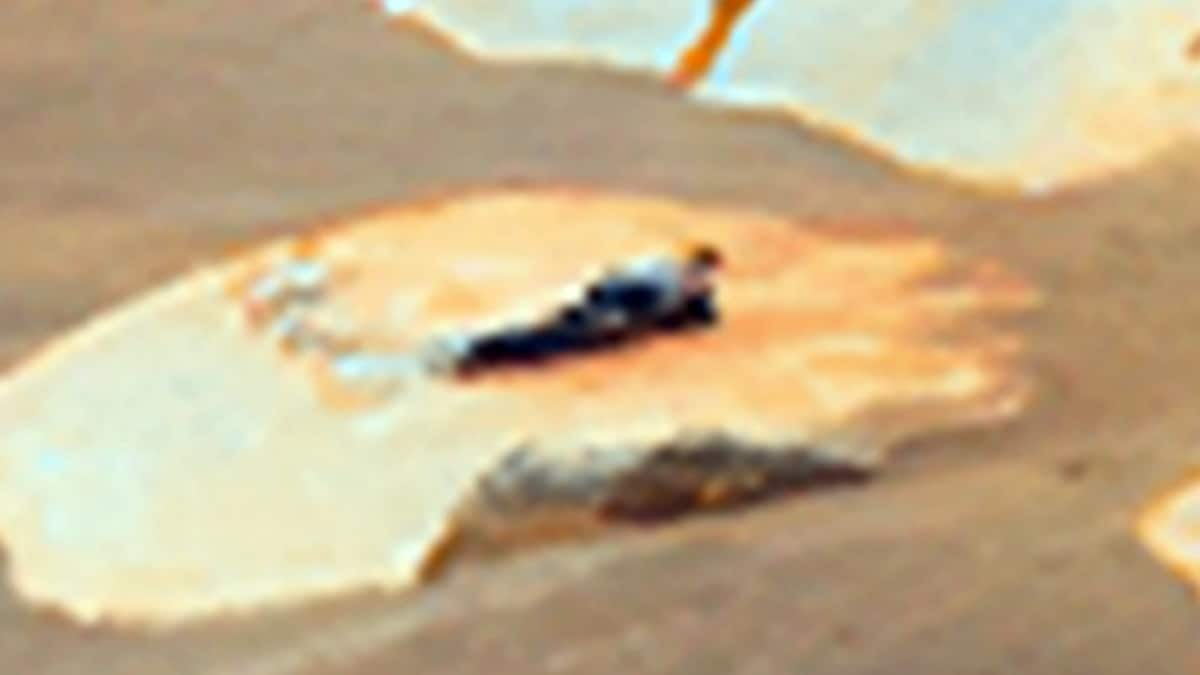 Is That an Alien Lying Down on Mars or Just an Illusion? Report Debunks Rumours