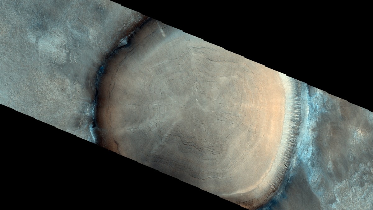 Is That a Giant Tree Stump on Mars? This Image From the Red Planet Is Not What It Seems
