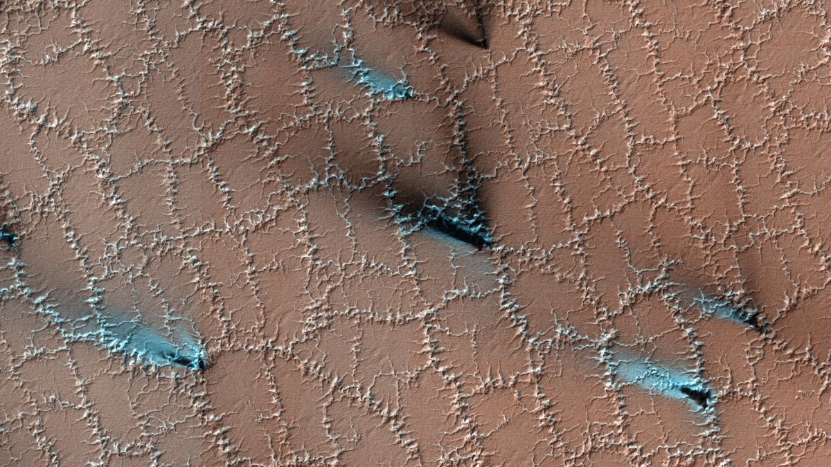 Lacy Honeycomb Structures Found on Mars; Water, Ice, and Co2 Said to Be Responsible