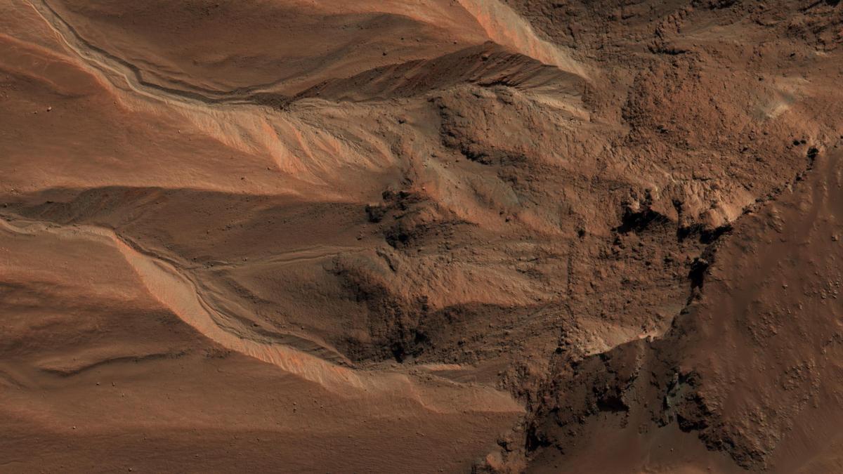 Photos Show Evidence of Life on Mars, Claims Scientist