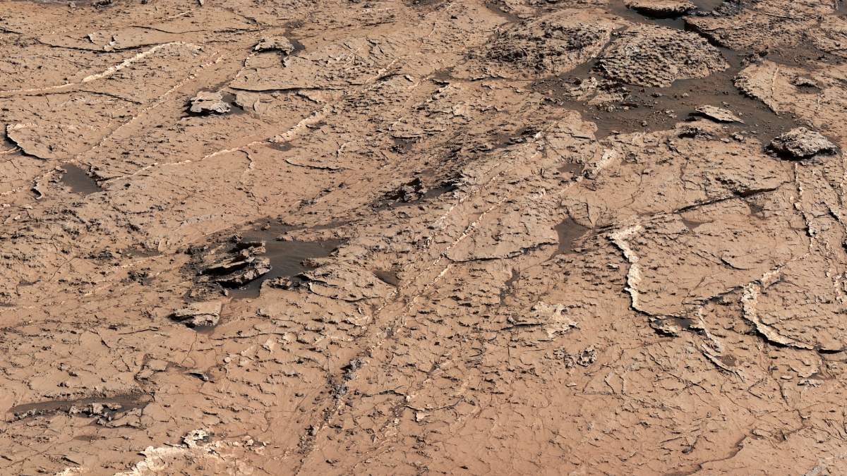 Mars May Have Been Habitable in the Past, NASA Rover Observations Suggest Water Presence: Scientists
