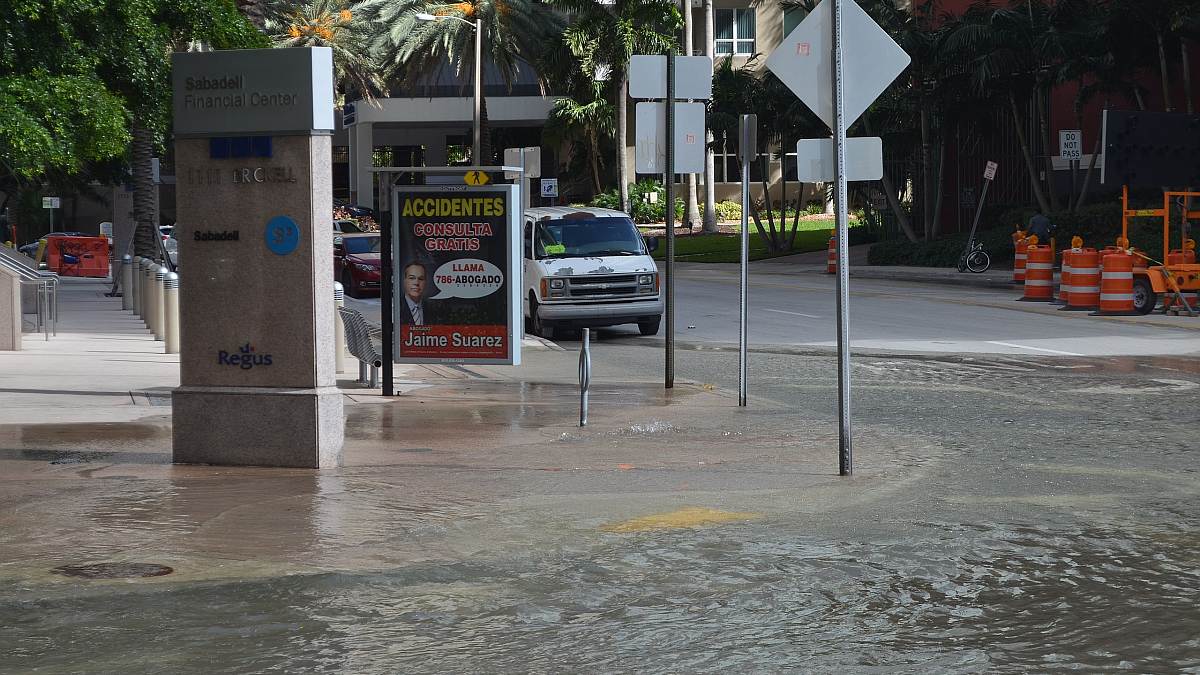 Sea Level Along US Coastlines to See Alarming Rise of 10-12 Inches by 2050, States Report