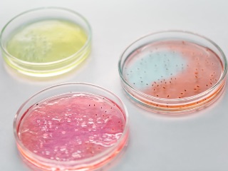 Ancient Microbes May Help in Search for Life on Other Planets, Claims New Study