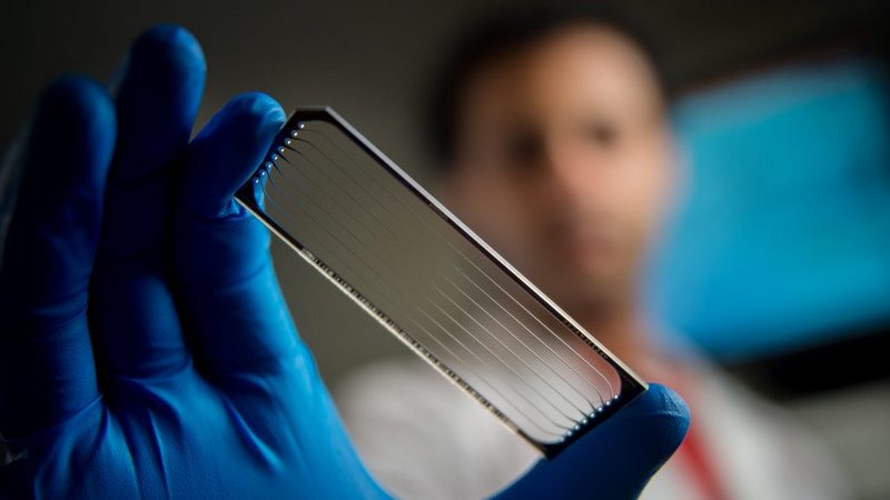 Microsoft, Apollo Hospitals Partner to Use AI for Cardiac Diseases