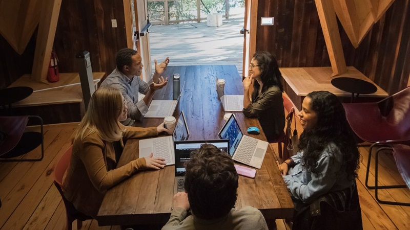 Microsoft Builds Treehouse Offices in Bid to Foster Creativity and Focus