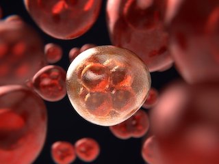 Swiss Researchers Develop Technique That Can Produce High-Resolution 3D Images of Cells