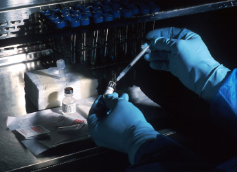 Scientists Make Mouse Skin Transparent Using Food Dye, Here&#039;s Everything You Need to Know