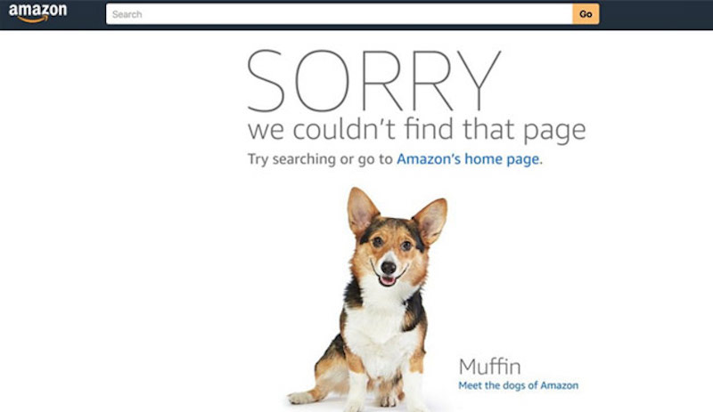 Amazon Product Page Error Leads Some Users to Dog Photos