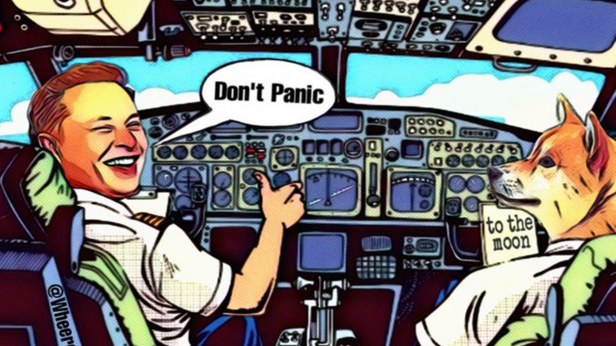 Dogecoin Pyramid Scheme: More Parties Hop Onboard $258 Billion Lawsuit against Elon Musk
