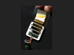 Elon Musk's Neuralink to Be Investigated Over Potentially Hazardous Pathogens Elon Musk's Neuralink to Be Investigated Over Potentially Hazardous Pathogens