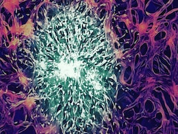 Researchers Develop Nanoparticles That Can Deliver Chemotherapy Drug to Brain, Help Kill Cancer Cells Researchers Develop Nanoparticles That Can Deliver Chemotherapy Drug to Brain, Help Kill Cancer Cells